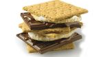 s'mores are a fun summertime treat